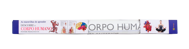 DESCOBRE O CORPO HUMANO — POSTER PEDAGÓGICO