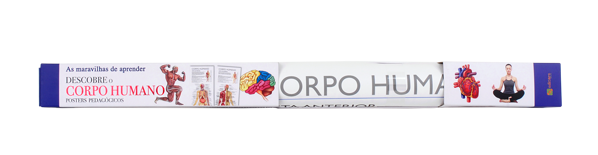 DESCOBRE O CORPO HUMANO — POSTER PEDAGÓGICO