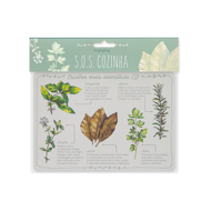 ESCOLHER ERVAS AROMÁTICAS 2