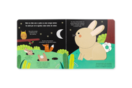 AJUDA A NATUREZA - OS COELHOS