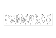 GROWTH CHART - SPACE