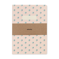 CONJUNTO - 2 CADERNOS A4