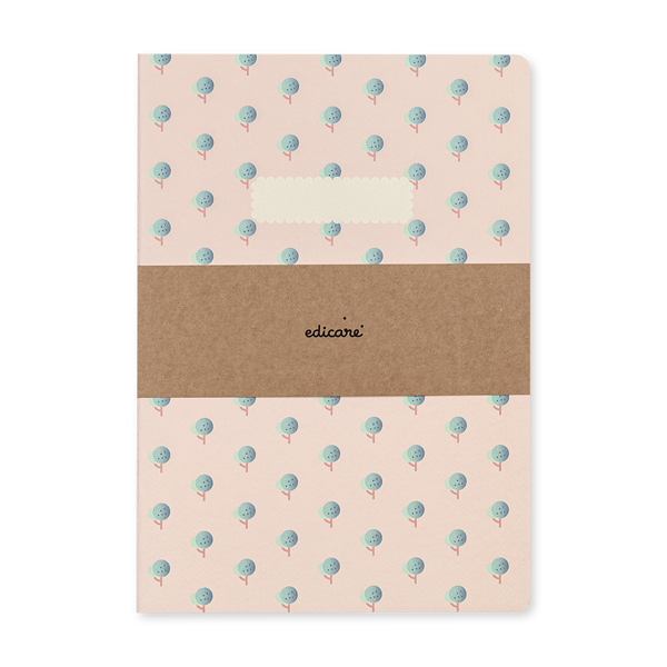 CONJUNTO - 2 CADERNOS A4