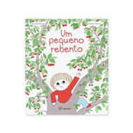 UM PEQUENO REBENTO