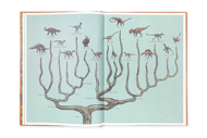 DINOSAURIUM
