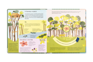 O NOSSO MUNDO — GIRA E APRENDE